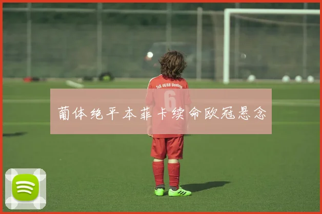 葡体绝平本菲卡续命欧冠悬念