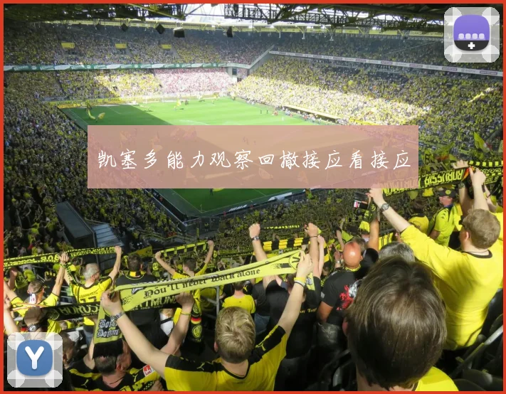 凯塞多能力观察回撤接应看接应