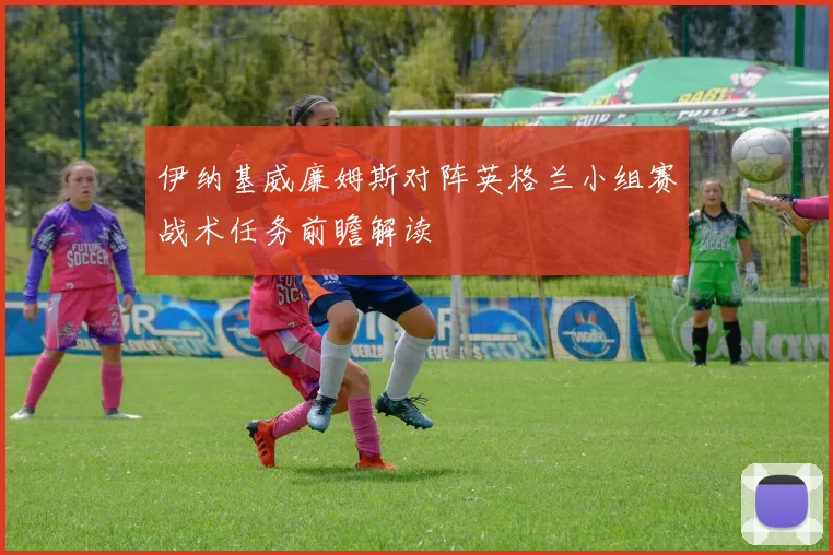 伊纳基威廉姆斯对阵英格兰小组赛战术任务前瞻解读