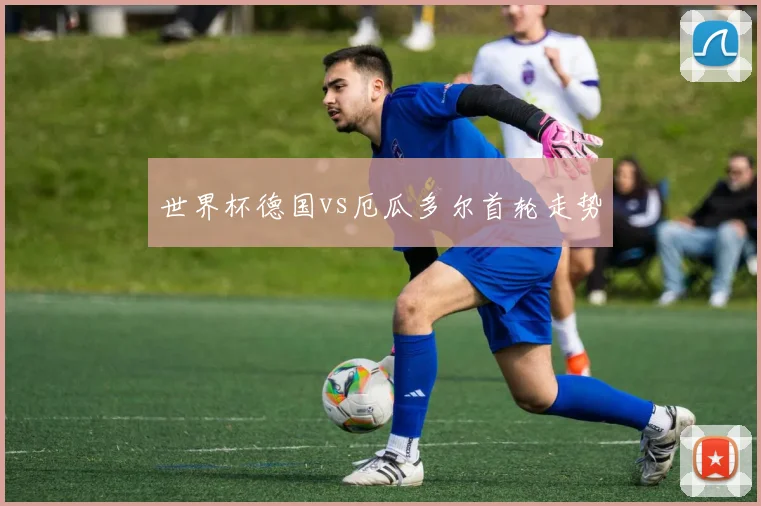 世界杯德国vs厄瓜多尔首轮走势