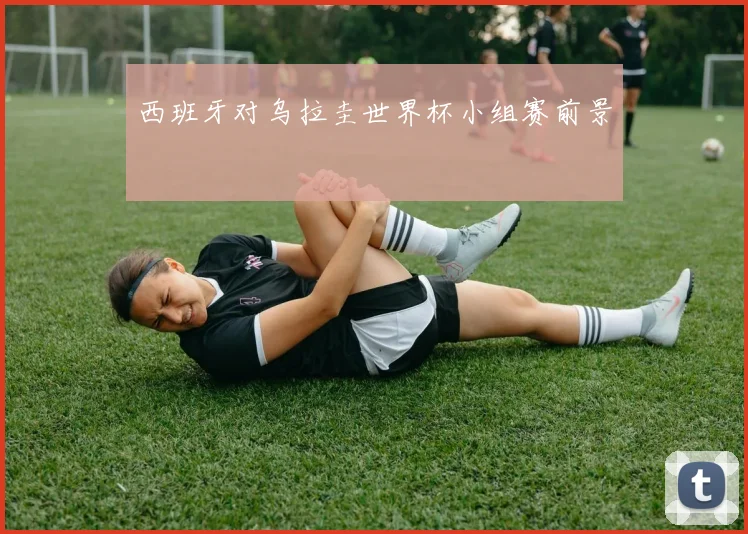 西班牙对乌拉圭世界杯小组赛前景
